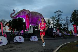 BIB: 
                            <button type="button" onclick="openModal(26529612)" class="btn btn-primary btn-sm float-right btn-popup" data-toggle="modal" data-target=".modal-high-quality">
                        <i class="fas fa-shopping-cart"></i> Add to Cart
                    </button>
                                            <button type="button" onclick="isThisMe(26529612, true)" class="btn btn-success btn-sm float-right btn-popup btn-isme hidden" data-toggle="tooltip" data-placement="bottom" title="นี่คือรูปของคุณใช่ไหม คลิกที่นี่เพื่อเอาเข้าอัลบั้ม">
                        <i class="fas fa-plus"></i> Add to album
                    </button>
                    <button type="button" onclick="isThisMe(26529612, false)" class="btn btn-warning btn-sm float-right btn-popup btn-isnotme hidden">
                        <i class="fas fa-ban"></i> Remove from album
                    </button>